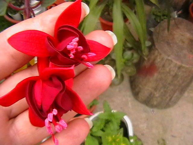 Picture 026