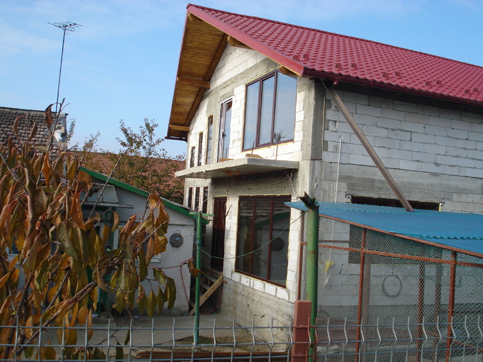DSC02521