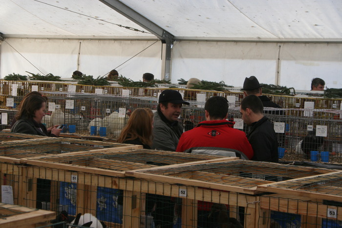 EXPO-PAS Suceava 2009 - EXPO PAS Suceava 2009