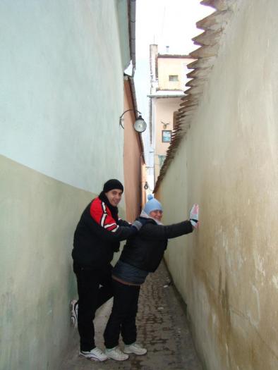 DSC05750 - poze Ianuarie 2009
