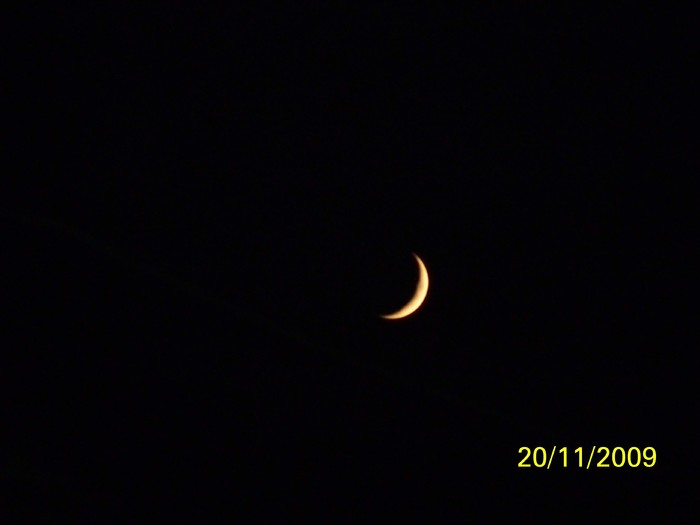 100_4935 - Toamna in curte  Timisoara