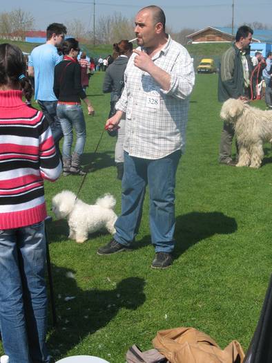 IMG_4775 - bichon frise