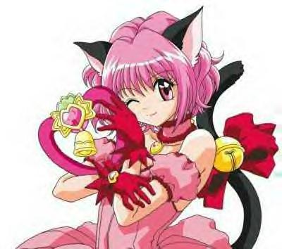 funclub30334[1] - echipa mew mew