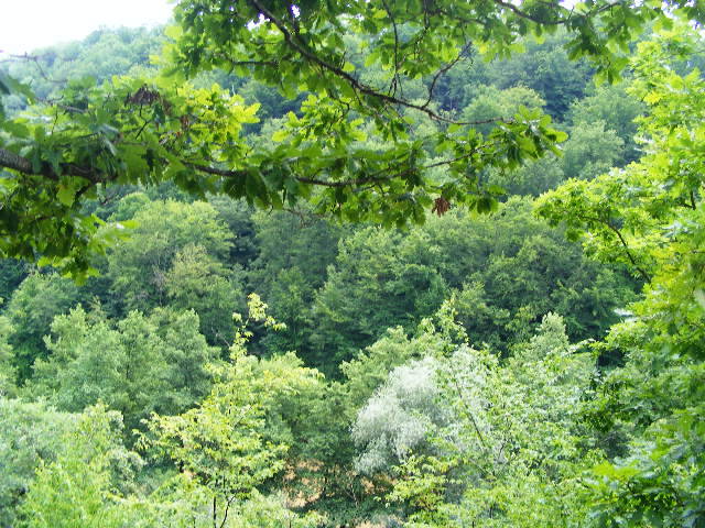 DSCF2565