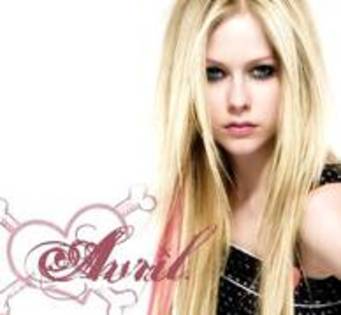 avril - xXxAvrilxXx