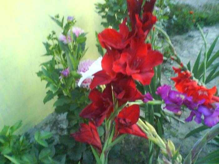 DSC00613