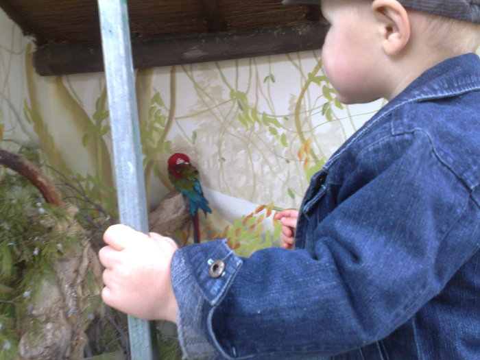 291120091113 - mini holiwood