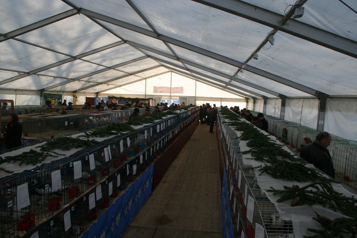 EXPO-PAS Suceava 2009