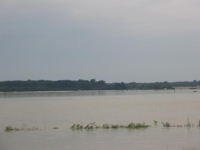 inundatii (63)