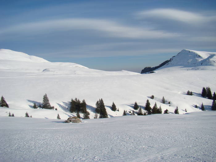 DSC01179 - Bucegi - Valea Izvorul Dorului-Padina