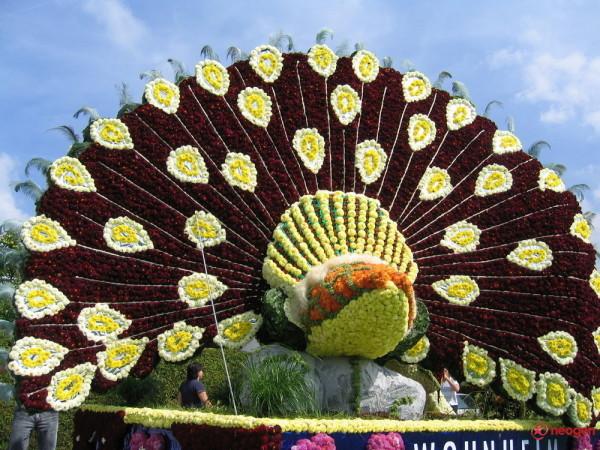 d7439f49_0050000913907_00_600