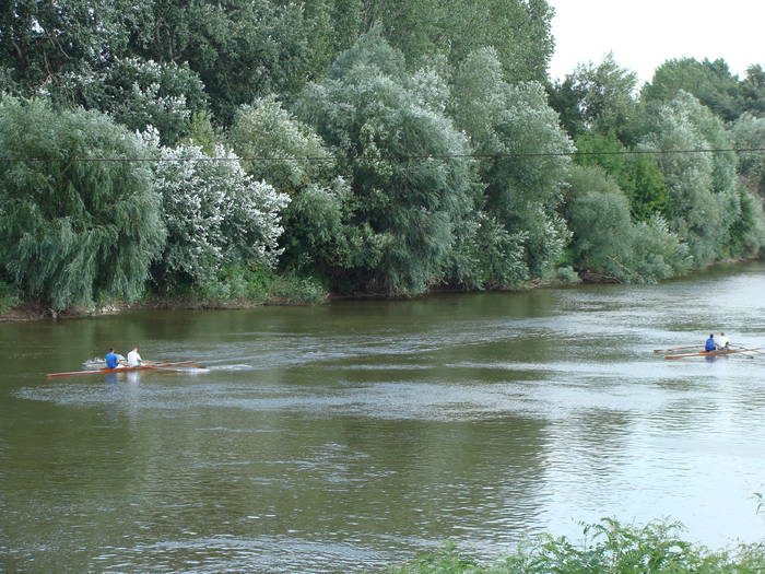 Memorial Sorin Lobont Editia a IX a (2008)