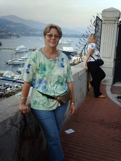 IMG_0550; VEDERE DE LA PALATUL DUCAL
