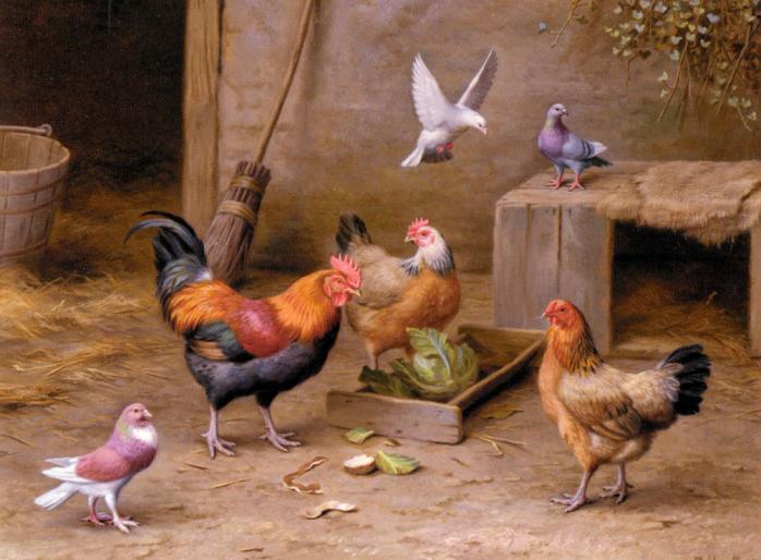 Hunt_Edgar_Chickens_In_A_Farmyard - ANIMALE