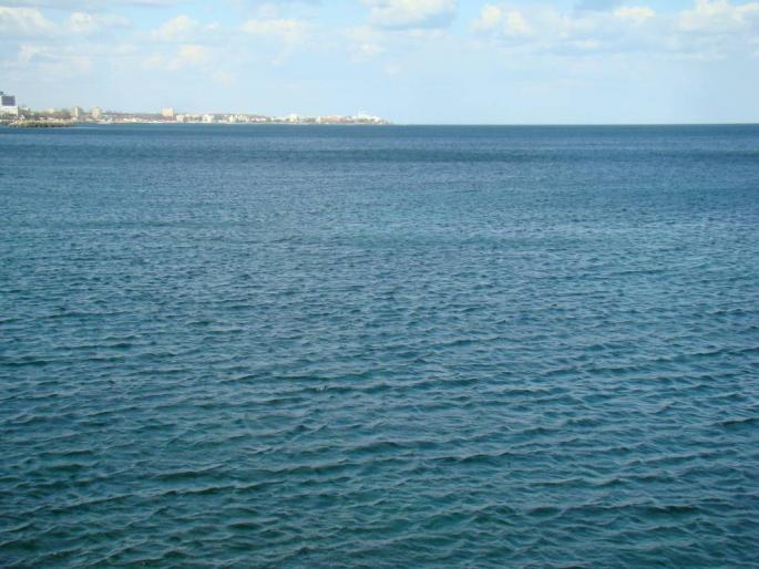 DSC02547 - 2008-03-02 - La Marea Neagra