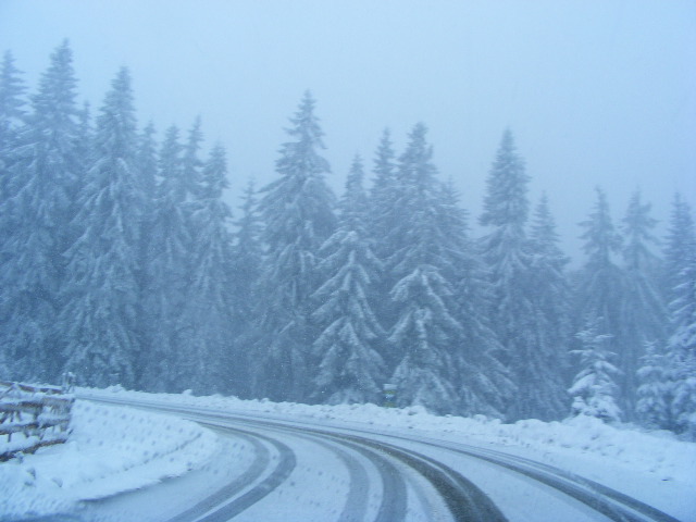 DSCF7349 - ninge in Maramu