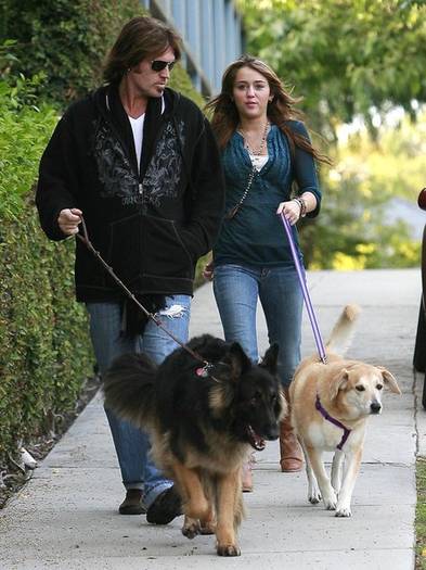 Miley+Cyrus+Dad+Walking+Their+Dogs+ArkD1eRMSPfl - miley cyrus