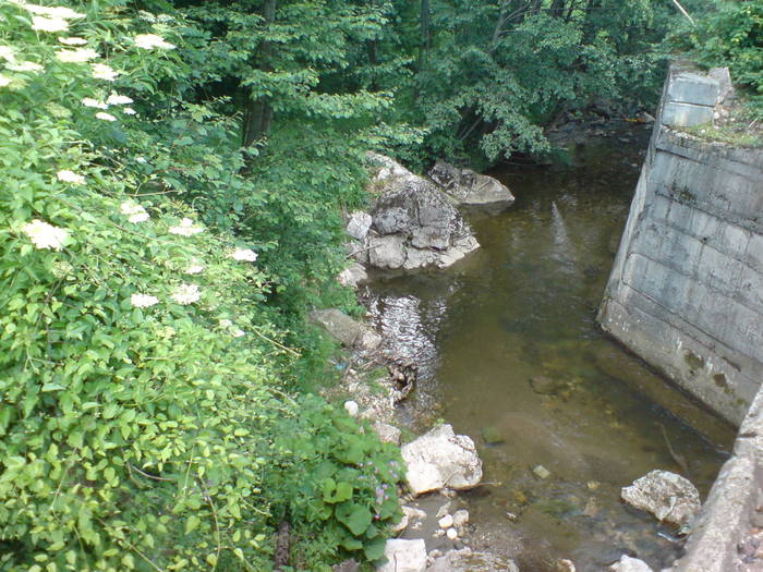 DSC01785