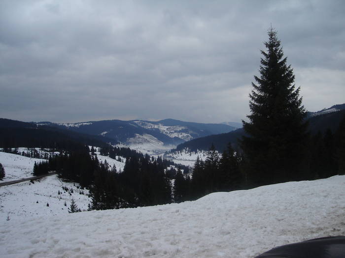 Poze Revelion 2005-2006 008 - 2006 REVELION VATRA DORNEI