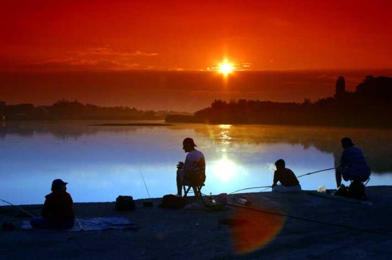 Delta Dunarii. - 2004 ROMANIA