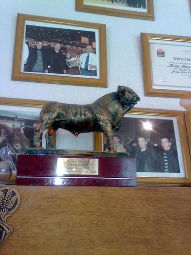 trofee si medalii la saroleza - ApiMondia