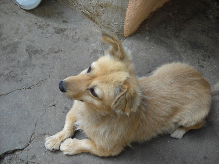 Picture 066; 3.61mb jpeg 8/25/2009 5:04pm
