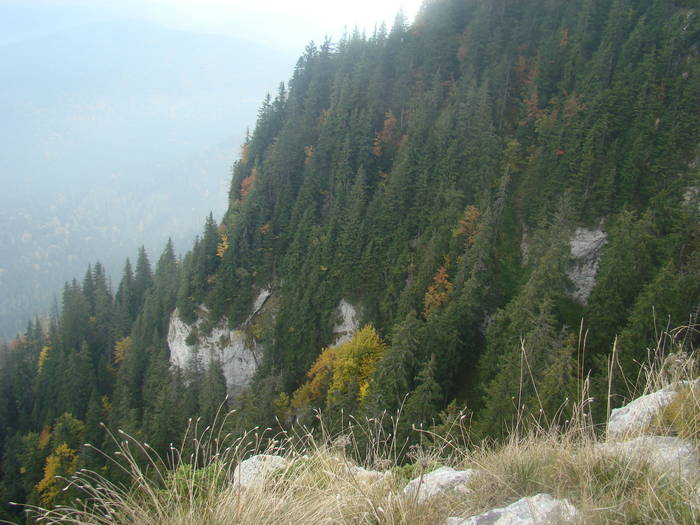DSC00367