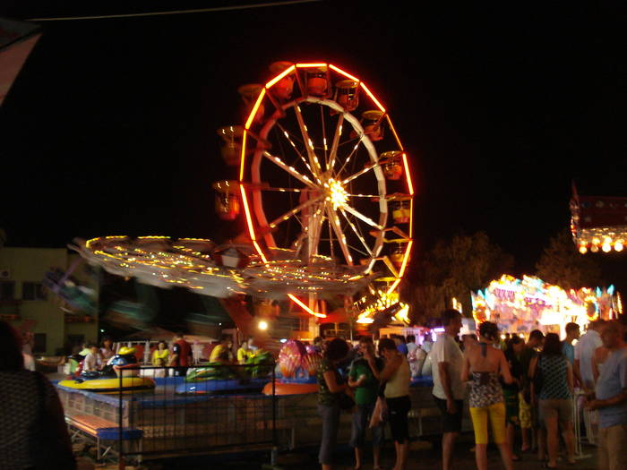 DSC03417