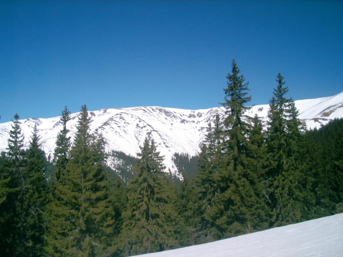 04120084 - Iezer-Papusa