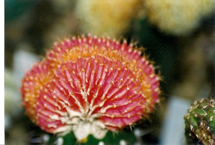 scan0002