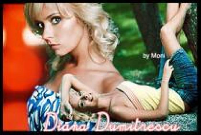 diana dumitrescu - bannere cu o cenusareasa moderna si altele