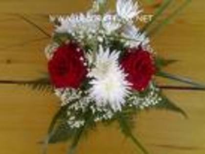 imagesCADSC9HE