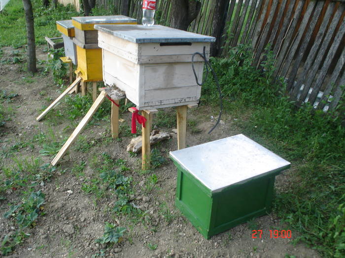 DSC05513 - albine alte noutati