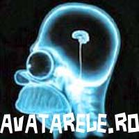 15 - Avatare