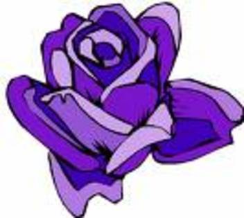 UDE6 - Purple rose