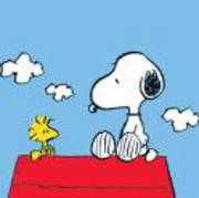 snoopy (9)