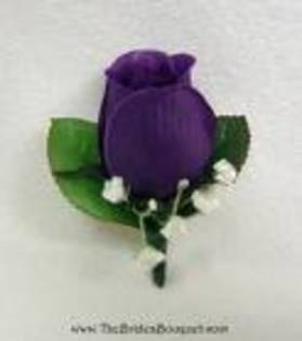 UEUU6 - Purple rose
