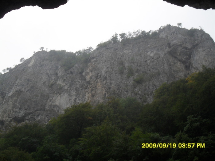 SDC10443 - valea jiului