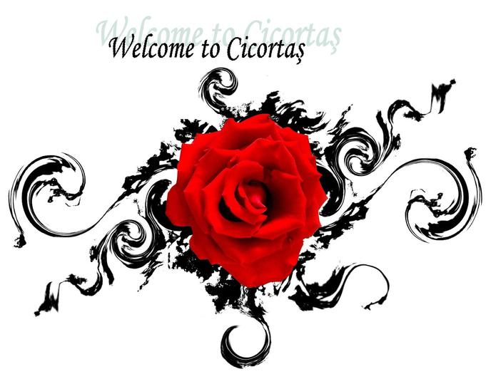 01-welcome - Welcome