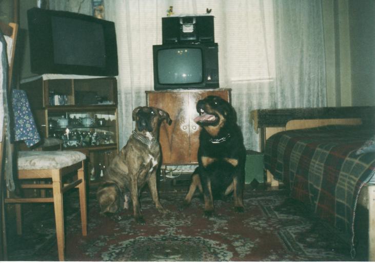 cora&pongo2002