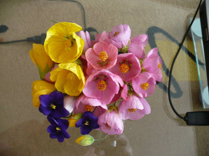P1090823 - flori diverse