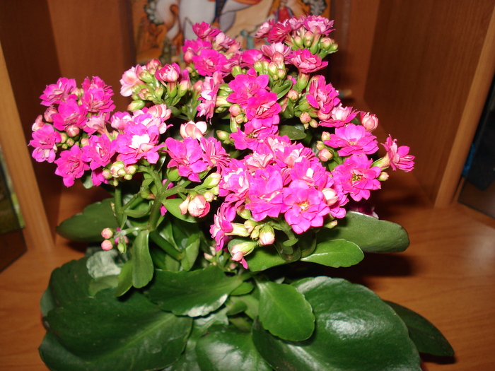 DSC09785