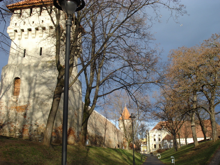 DSC06124 - 2010 REVELION SIBIU