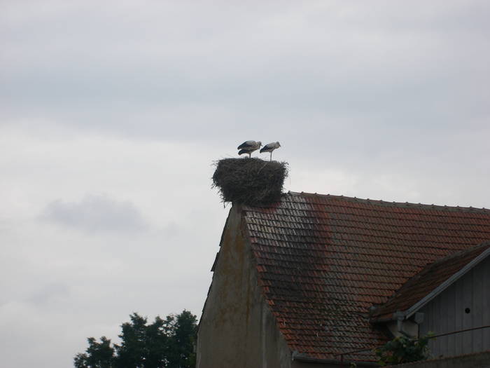 Domiciliu la inaltime