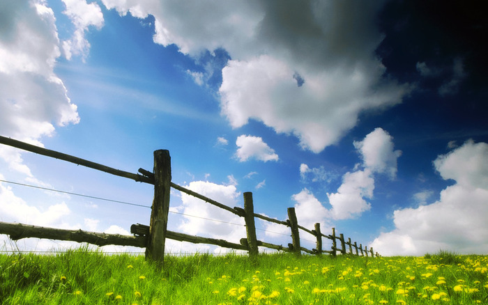 Springtime