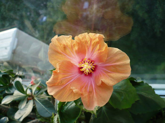 P1140934