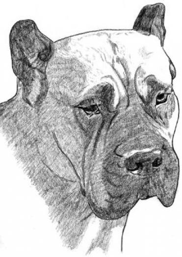 Presa Canario1