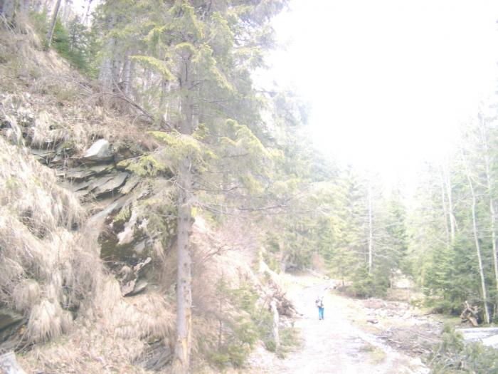 04120053 - Iezer-Papusa