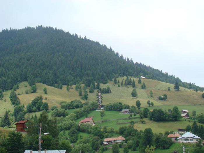 DSC02086 - Concediu 2008