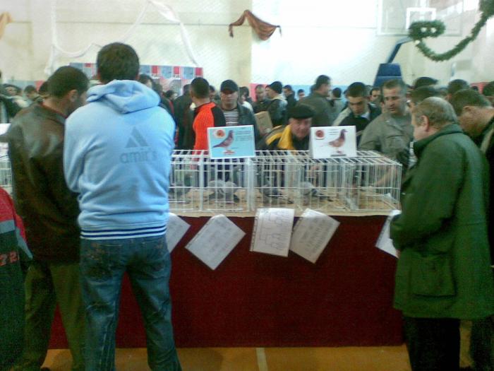 06122008(024) - expo targoviste 2008